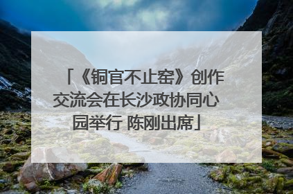 《铜官不止窑》创作交流会在长沙政协同心园举行 陈刚出席